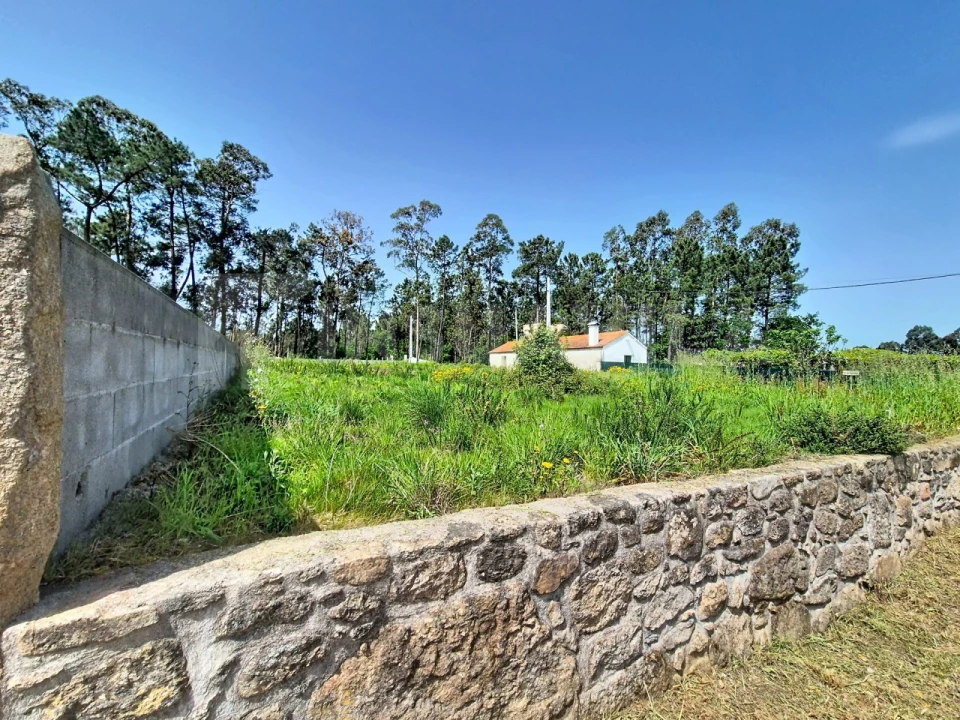 Terreno para Venda em São Julião e Silva Foto 8