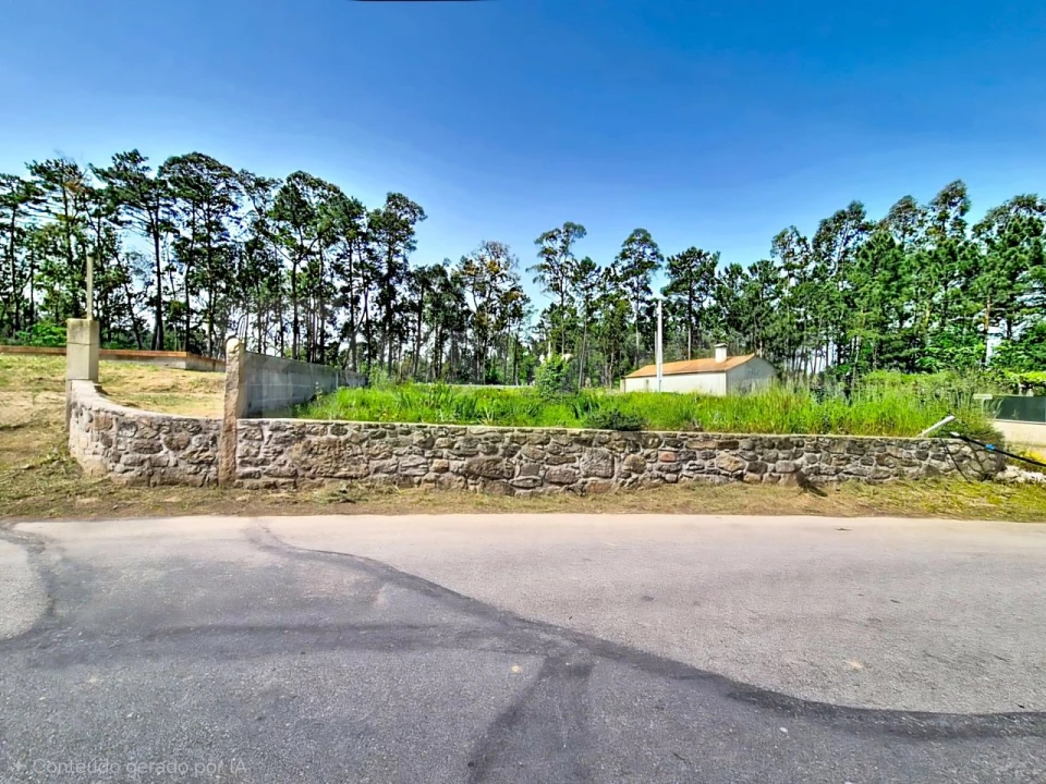 Terreno para Venda em São Julião e Silva Foto 11