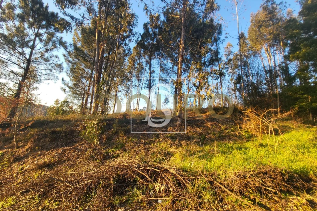 Terreno para Venda em Sandim, Olival, Lever e Crestuma Foto 3