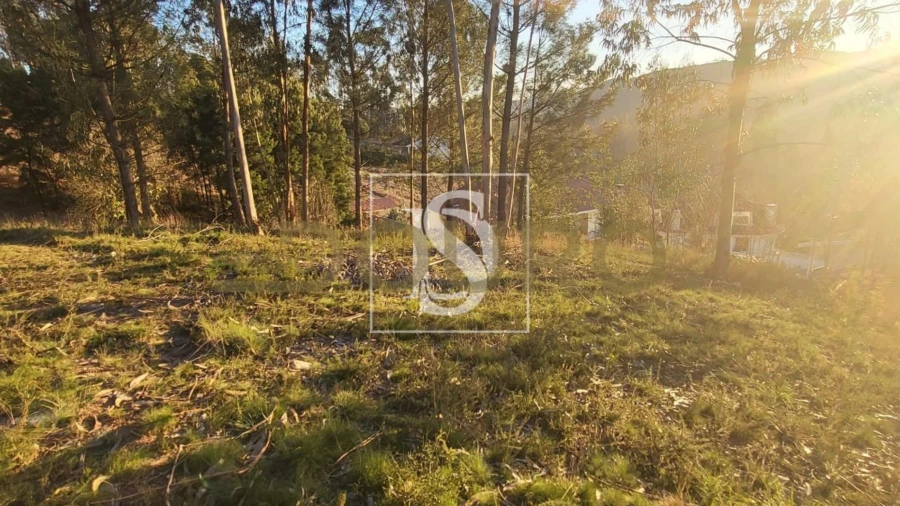 Terreno Agricola ou Rústico para Venda em Sandim, Olival, Lever e Crestuma