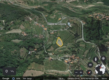 Terreno para Venda em Santa Cruz do Douro e São Tomé de Covelas