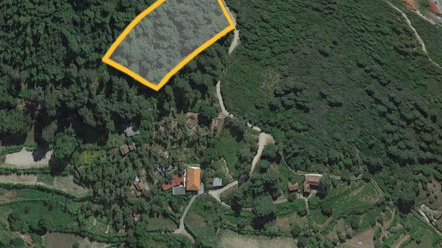 Terreno para Venda em Santa Cruz do Douro e São Tomé de Covelas