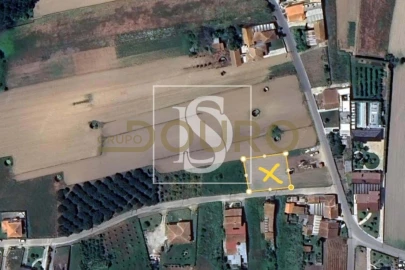 Terreno para Venda em Palhaça
