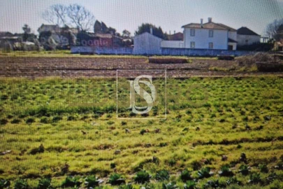 Terreno para Venda em Palhaça