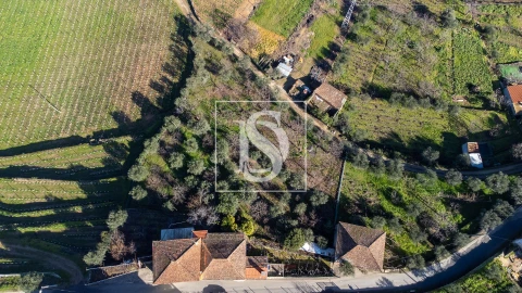 Quinta T3 para Venda em Távora e Pereiro