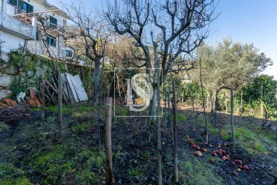 Quinta T3 para Venda em Távora e Pereiro