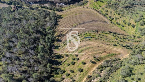 Quinta T3 para Venda em Távora e Pereiro