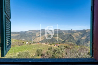 Quinta T3 para Venda em Távora e Pereiro