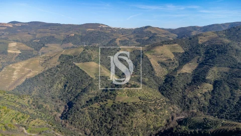 Quinta T3 para Venda em Távora e Pereiro