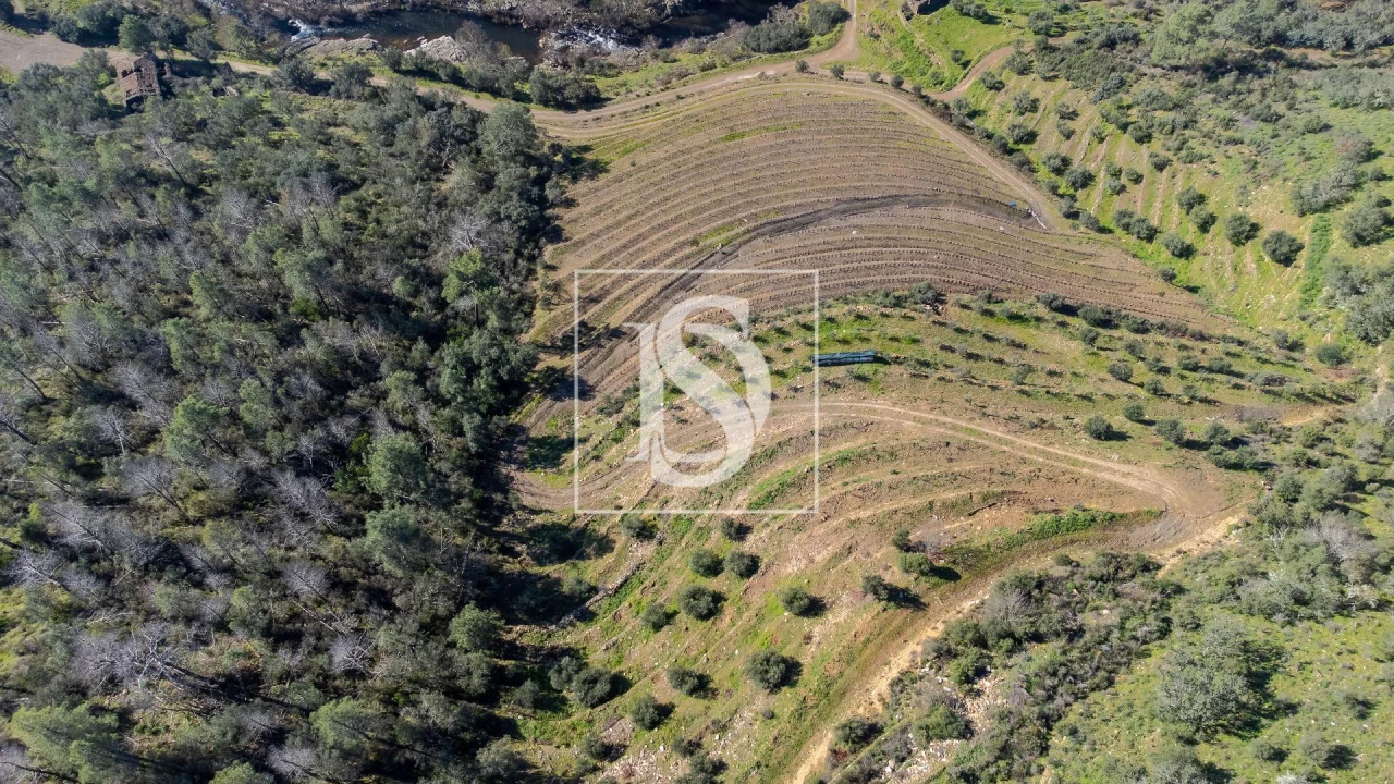 Quinta T3 para Venda em Távora e Pereiro Foto 9