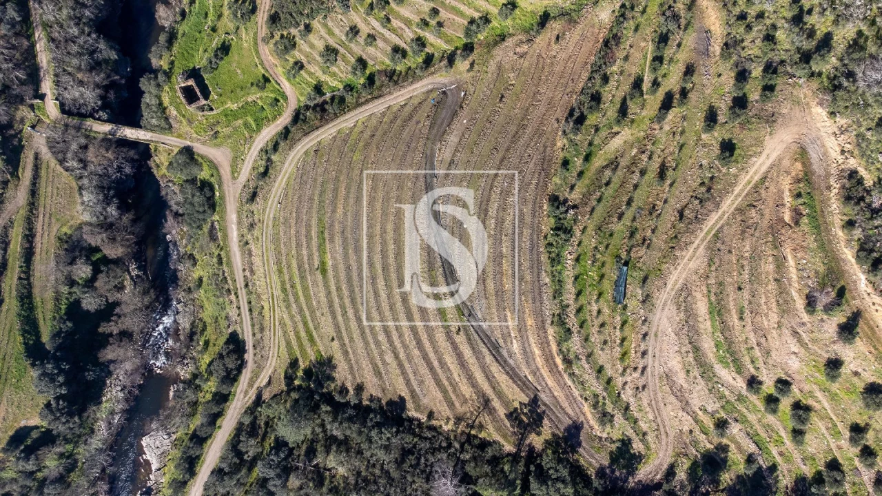 Quinta T3 para Venda em Távora e Pereiro Foto 10