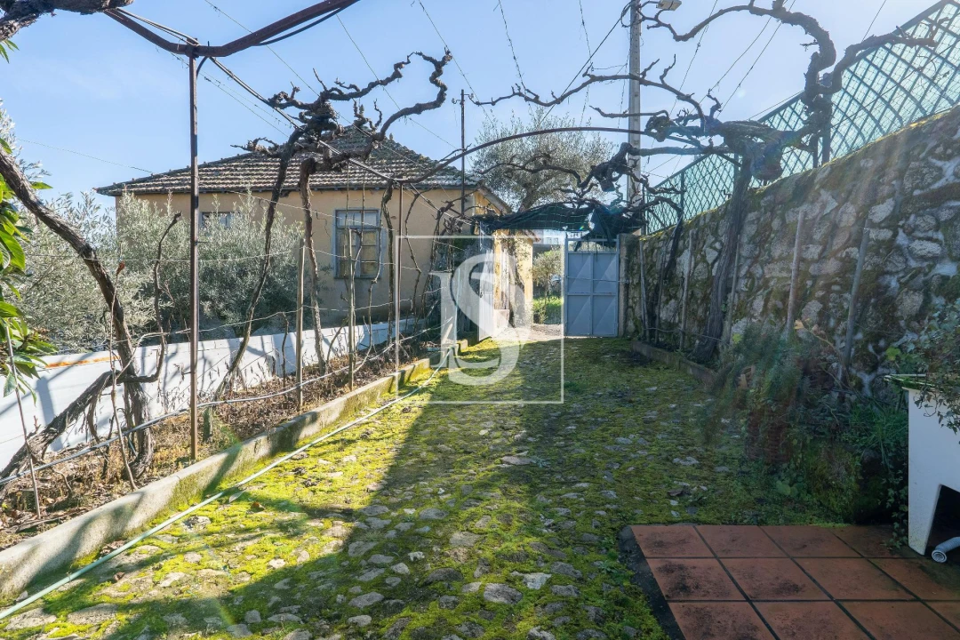 Quinta T3 para Venda em Távora e Pereiro Foto 15