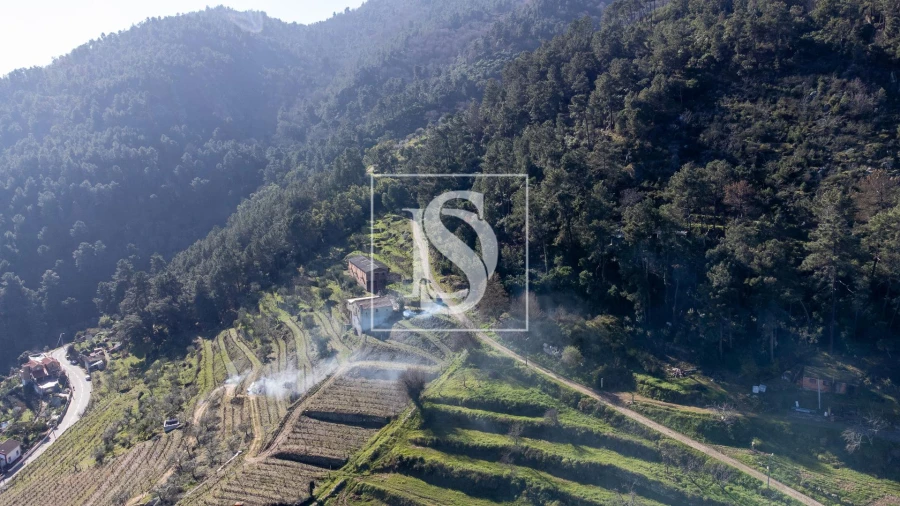 Quinta T3 para Venda em Távora e Pereiro Foto 5