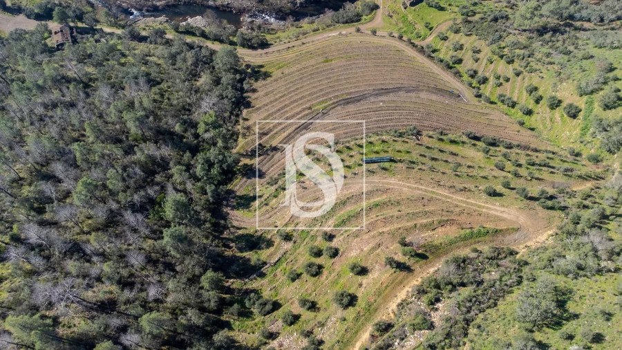 Quinta T3 para Venda em Távora e Pereiro Foto 9