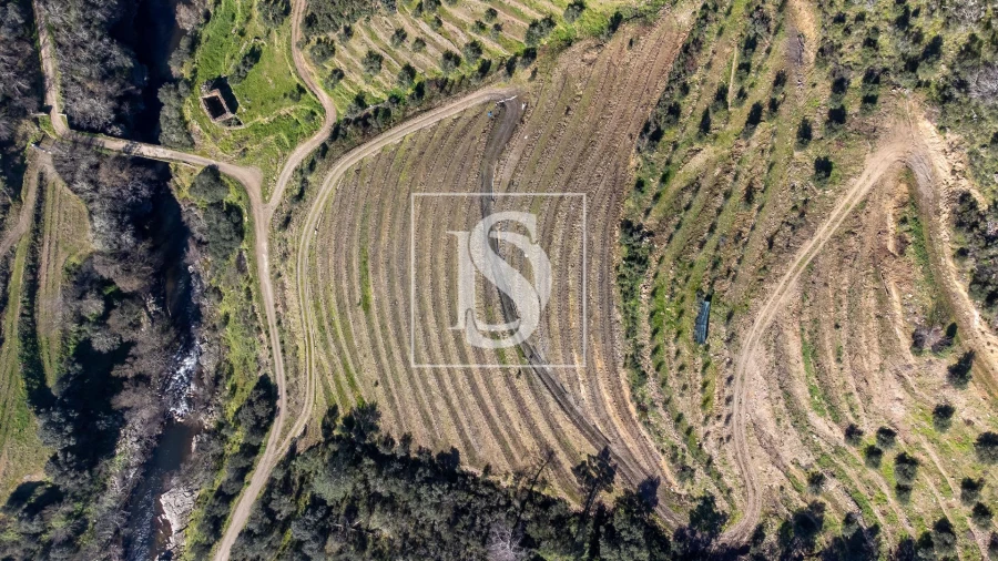 Quinta T3 para Venda em Távora e Pereiro Foto 10