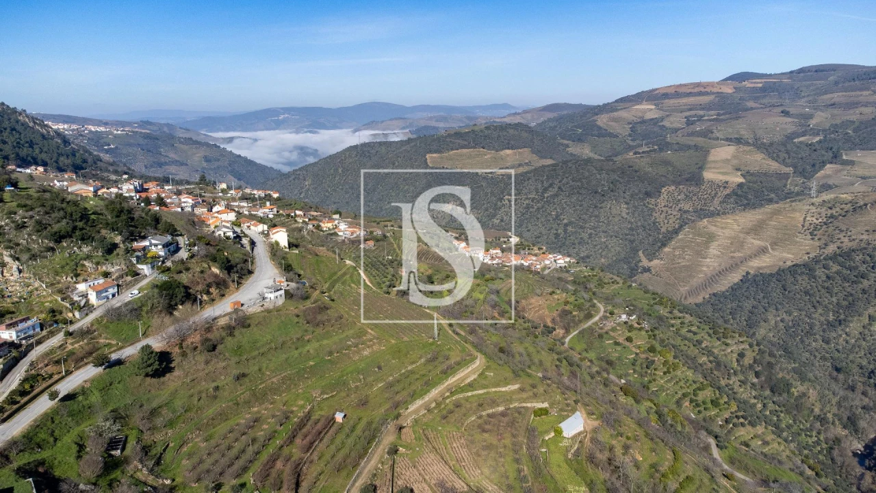 Quinta T3 para Venda em Távora e Pereiro Foto 4