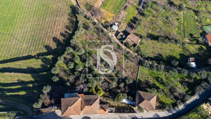 Quinta T3 para Venda em Távora e Pereiro