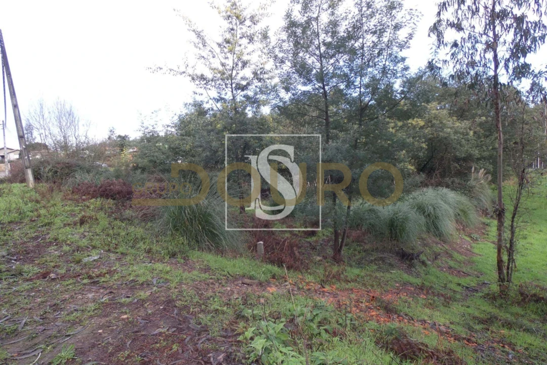 Terreno para Venda em Sandim, Olival, Lever e Crestuma Foto 5