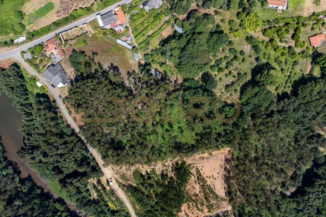 Terreno para Venda em Melres e Medas Foto 8