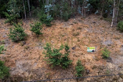 Terreno para Venda em Melres e Medas