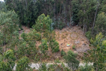 Terreno para Venda em Melres e Medas