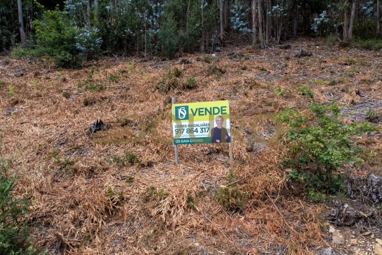 Terreno para Venda em Melres e Medas Foto 12