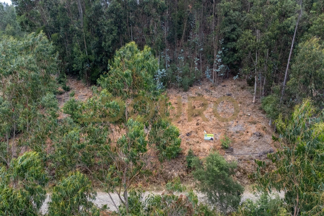 Terreno para Venda em Melres e Medas Foto 10