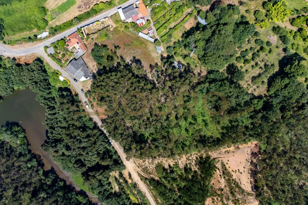 Terreno para Venda em Melres e Medas Foto 9