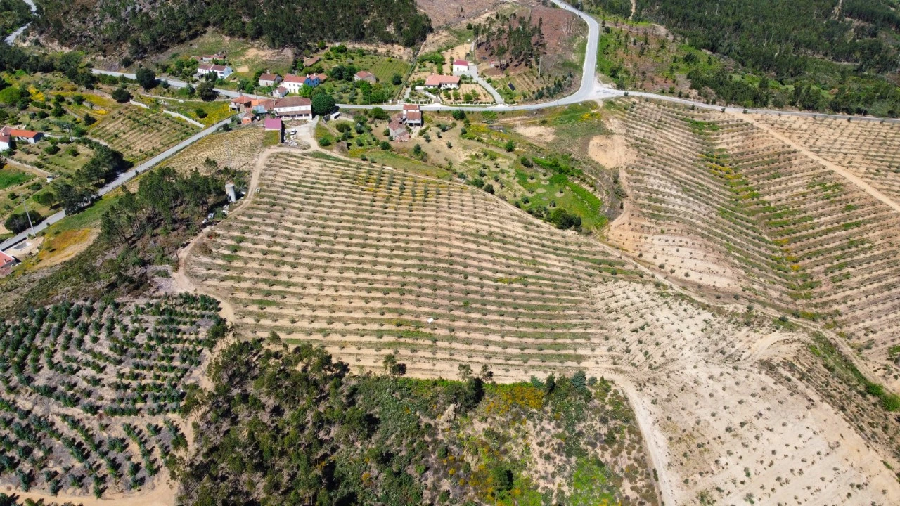 Quinta T9 para Venda em Carvoeiro Foto 53