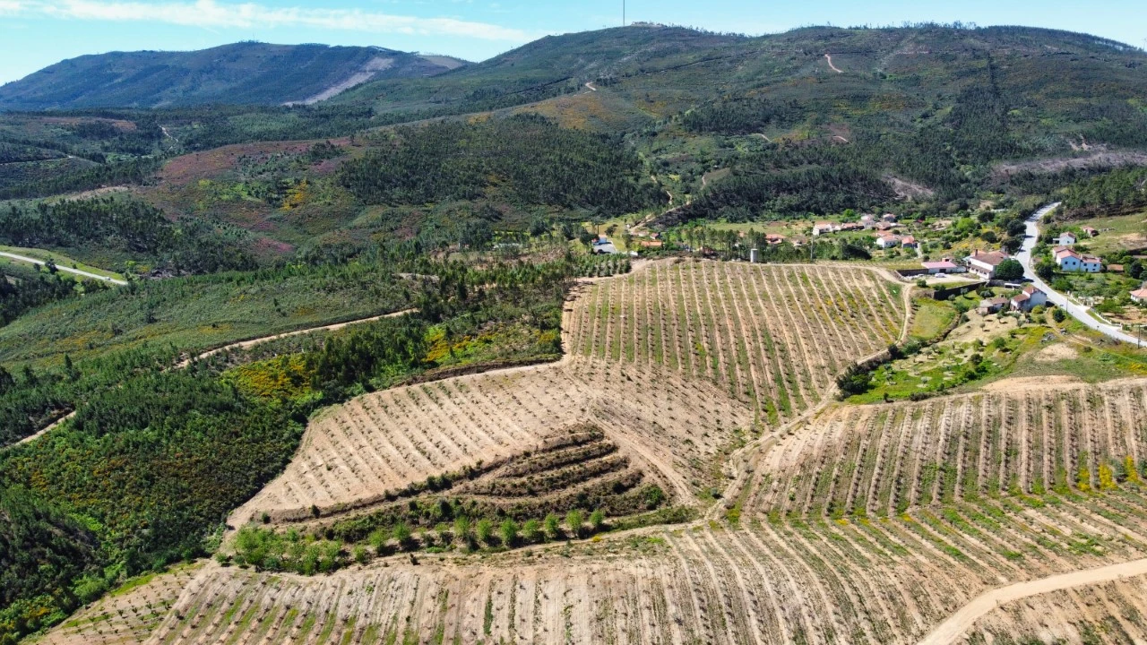 Quinta T9 para Venda em Carvoeiro Foto 56