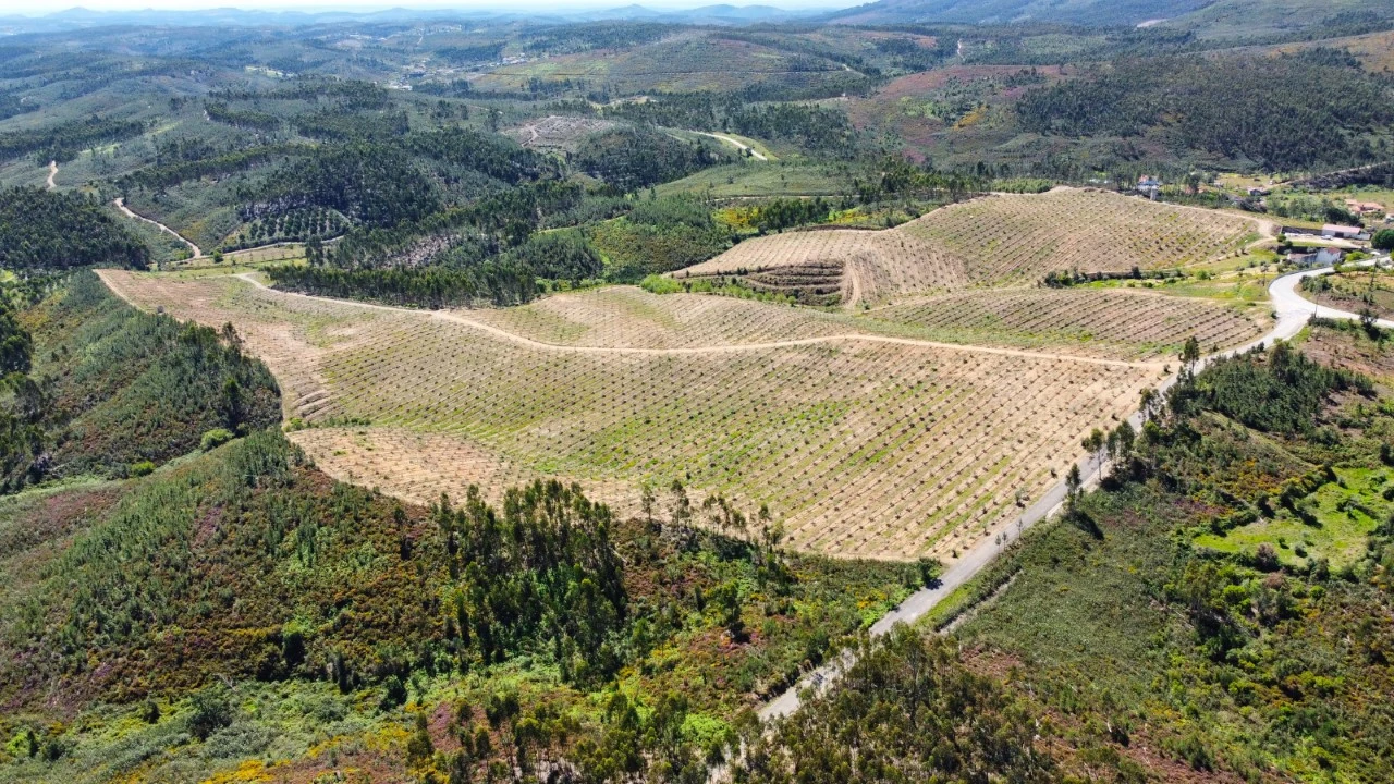 Quinta T9 para Venda em Carvoeiro Foto 58