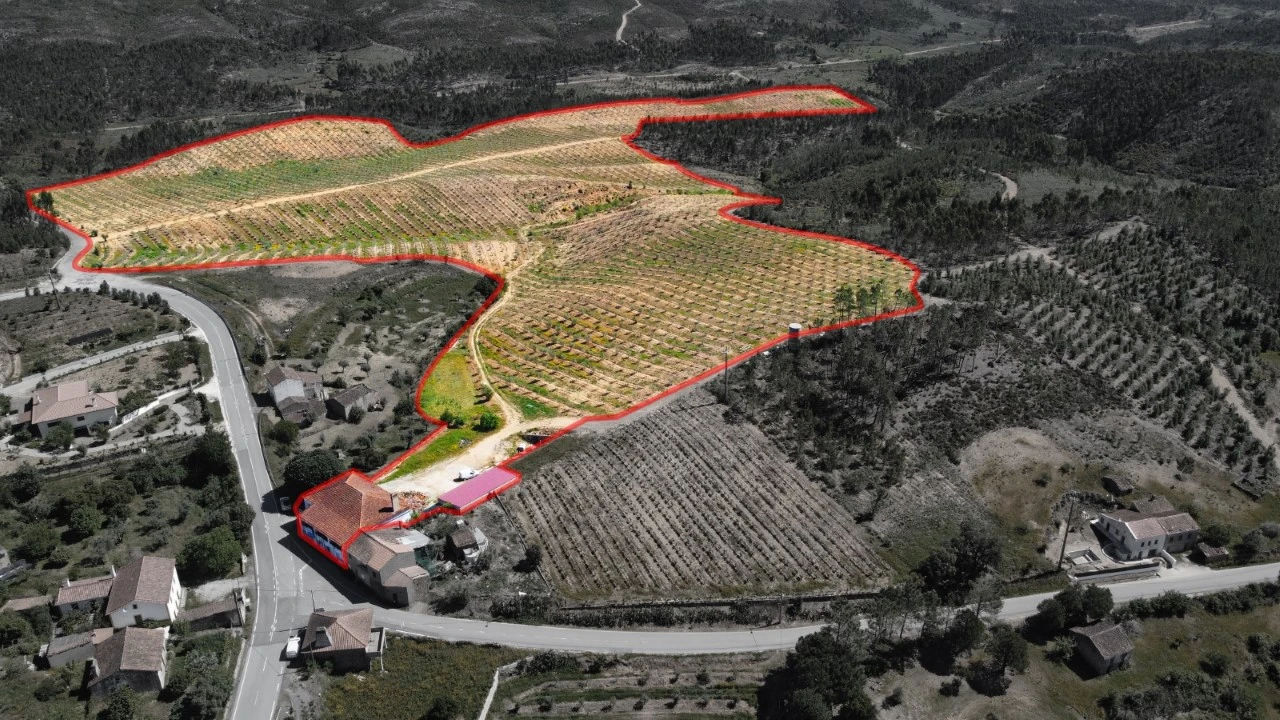 Quinta T9 para Venda em Carvoeiro Foto 66