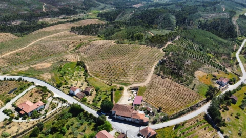 Quinta T9 para Venda em Carvoeiro