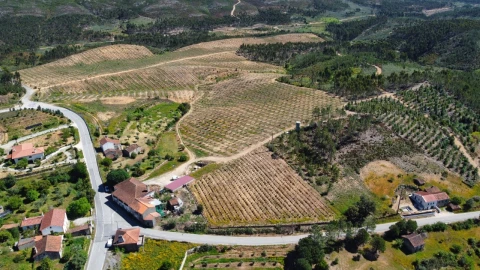 Quinta T9 para Venda em Carvoeiro