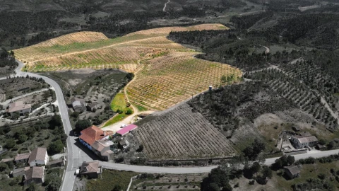 Quinta T9 para Venda em Carvoeiro