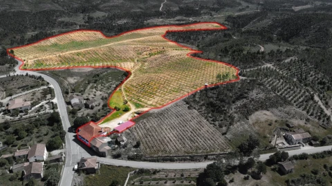 Quinta T9 para Venda em Carvoeiro