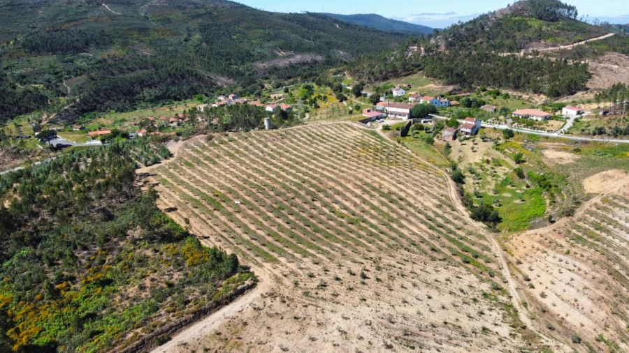 Quinta T9 para Venda em Carvoeiro Foto 54