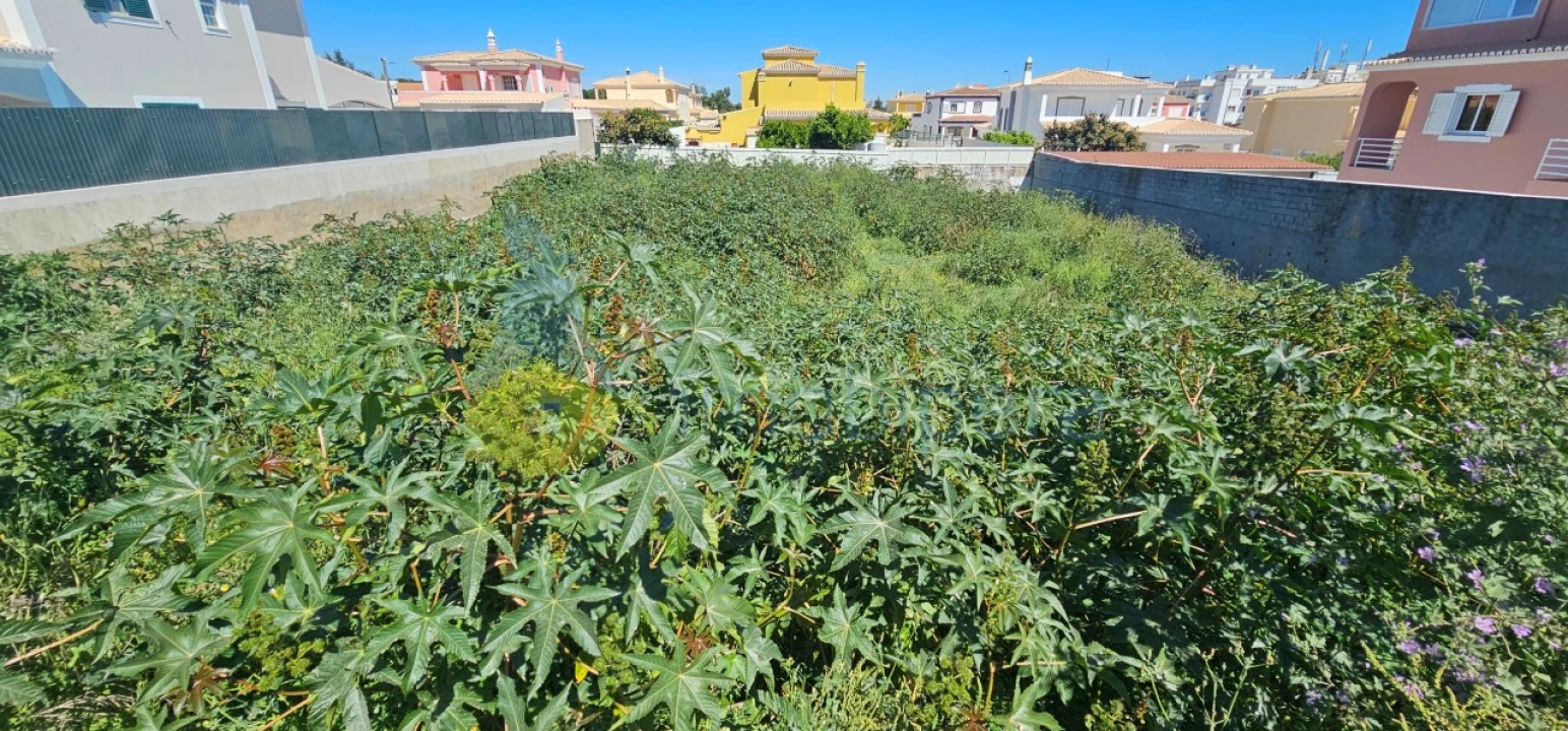 Terreno para Venda em Lagoa e Carvoeiro Foto 2