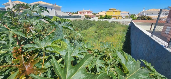Terreno para Venda em Lagoa e Carvoeiro