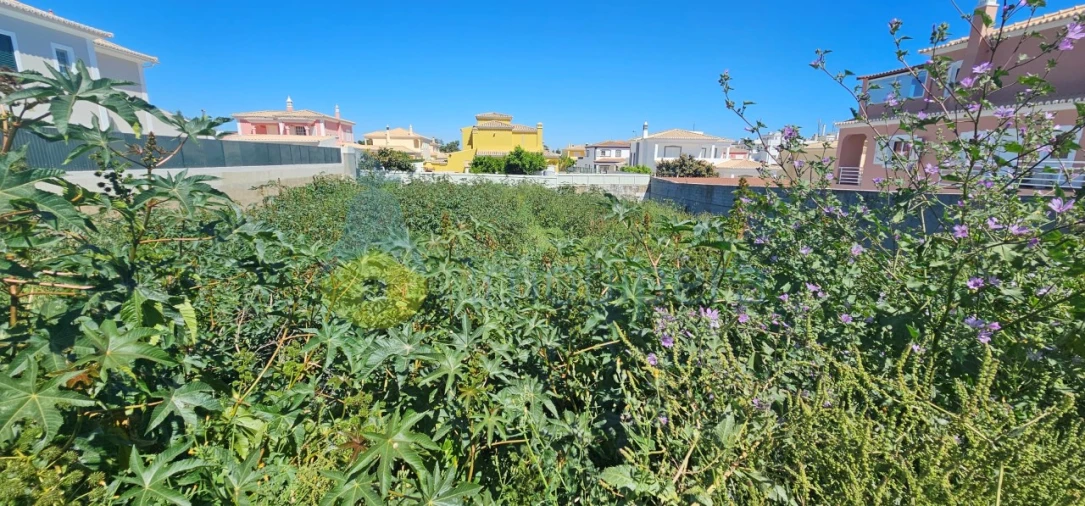 Terreno para Venda em Lagoa e Carvoeiro