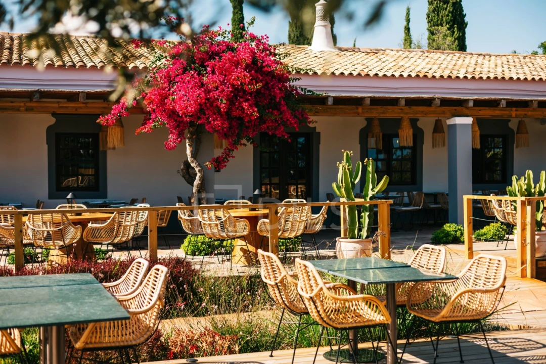 Loja para Venda em Almancil Foto 3