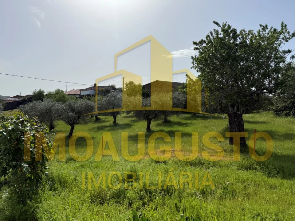 Moradia T2 para Venda em Freixeda Torrão, Quintã Pêro Martins, Penha Águia Foto 17