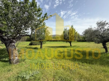 Moradia T2 para Venda em Freixeda Torrão, Quintã Pêro Martins, Penha Águia