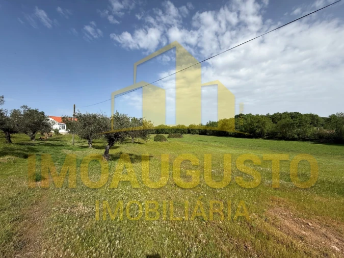 Moradia T2 para Venda em Freixeda Torrão, Quintã Pêro Martins, Penha Águia Foto 15