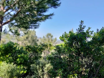 Terreno Agricola ou Rústico para Venda em Grândola e Santa Margarida da Serra