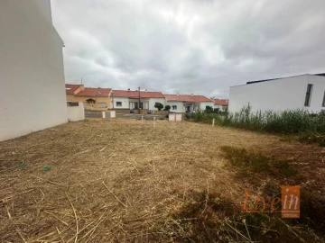 Terreno para Venda em Silveira