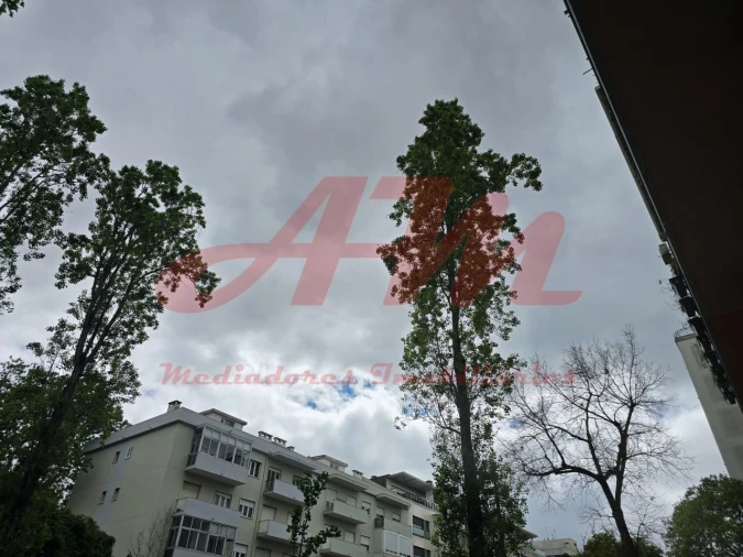 Apartamento T3 para Venda em Benfica Foto 53