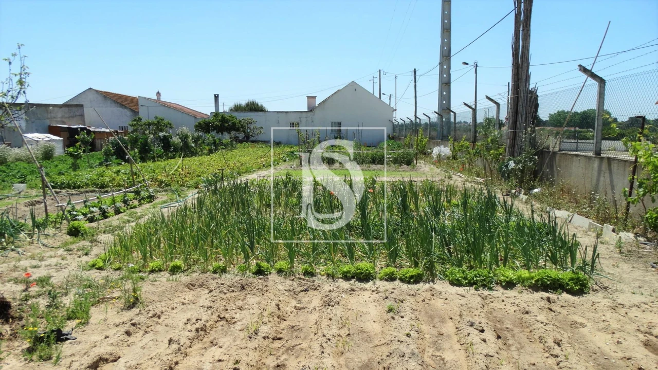Terreno para Venda em Sarilhos Grandes Foto 3