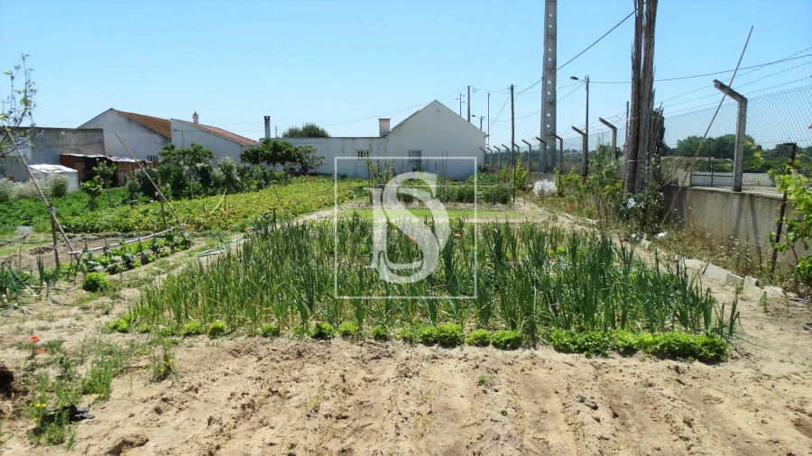 Terreno para Venda em Sarilhos Grandes Foto 3