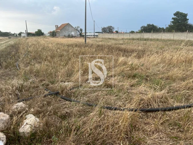 Quinta T2 para Venda em Quinta do Anjo Foto 3